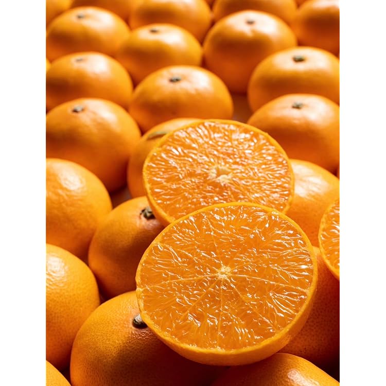 Amazon.co.jp: まどんな 訳あり 10kg 紅まどんな と同品種 愛媛 中島産